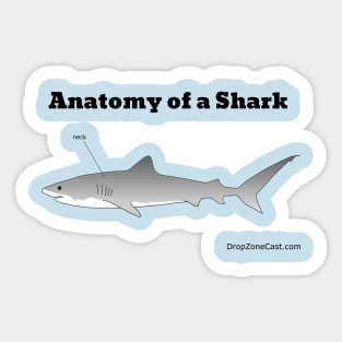 Anatomy of a Shark Sticker